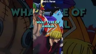 The Animal Version of Each STRAW HAT 