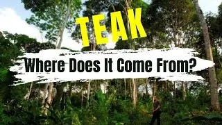 Where does your TEAK come from?