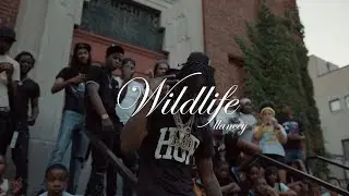 (Free) Polo G Type Beat x Scorey Type Beat - "Wildlife"