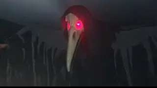 Lord Raven