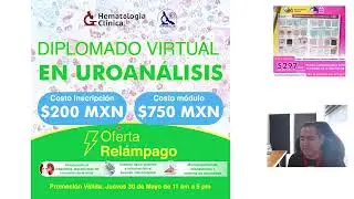 Intepretación de la Bh