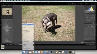 Lightroom Tutorial 1 - Basic Exposure Correction and Cropping