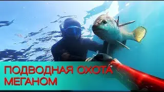 🐟 Крым. Мыс Меганом. Охота на горбыля. Нырнул, добыл, приготовил, съел.