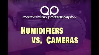 Humidifiers vs. Cameras