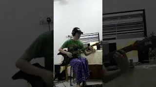 practice muse new born