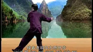 Чэнь Чжанлей Син Цзя ПаоЧуй 2 часть // Chen Zhenglei Sin Jia PaoChui 2 part