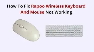 How to Fix Rapoo Wireless Keyboard and Mouse Not Working – Full Troubleshooting Guide