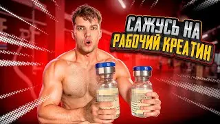 Сажусь на рабочий креатин. Начало моей трансформации.