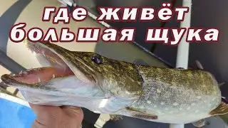 Отличное Место для Большой ЩУКИ! Простая рыбалка вдоль берега!!!