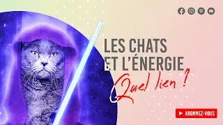 The Energy (the Force) and Cats - What is the link ??