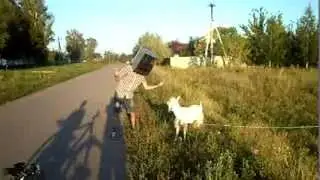Отдых в деревне