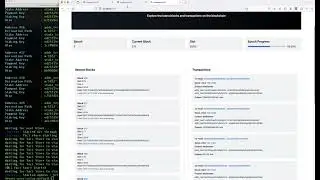 Multi-node setup using Yaci DevKit (Sneak Peek)