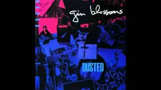 Gin Blossoms - Keli Richards