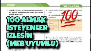 11.Sınıf Biyoloji 1.Dönem 2.Yazılı