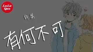 抖音《有何不可》許嵩【動態歌詞Lyrics】