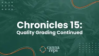 Quality Grading Episode Continued | How Sommeliers grade cannabis | CHRONICLES 15