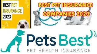 What is PET Insurance | Best Pet Insurance Companies in  2023 | How Does Pet Insurance Work