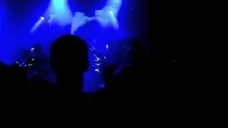 British Sea Power - Great Skua Live