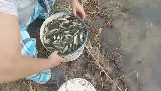Ведро рыбы за 5минут!!!