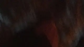 Салом Алекум