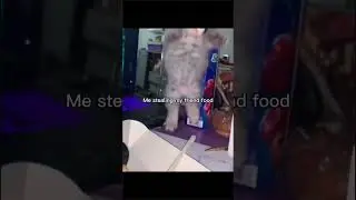 sHe wAs a faiRY🥰 || cr : CC || random sh*tpost cuz i like this vid lmaoo😭