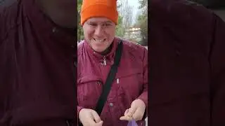 Загляни в мусорку - найди конфеты!😅😅