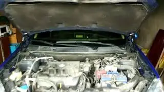 Газовые упоры на Кашкай