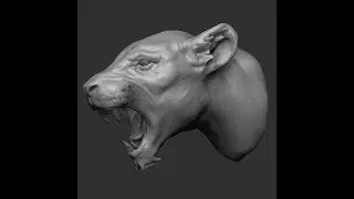 Lioness - Zbrush Timelapse