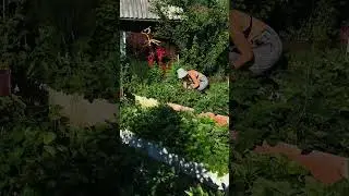Монтаж коротких видео любой сложности Беру заказы по монтажу #монтажвидео #монтажрилс #рилсмейкер