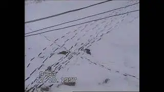 October 12, 1997. Lesozavodsk. First snow