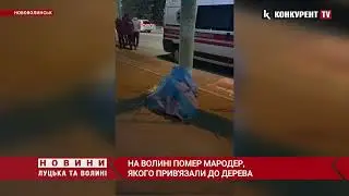 Помер мародер, якого прив’язали до дерева та відшмагали