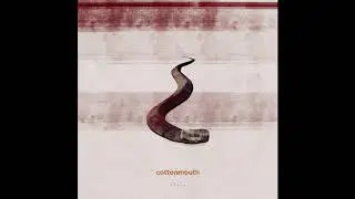 Matt Van – cottonmouth
