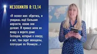 Прямая трансляция пользователя Телеканал НАДЕЖДА