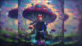 TJ Da Shroomman X Super Mario Shroomland