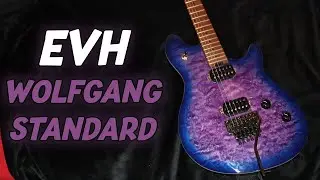 High Performance Low Price - EVH Wolfgang Standard QM