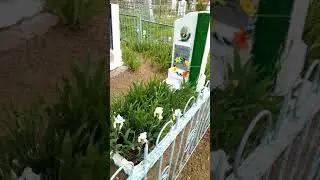 Родительский день, Марьяновка