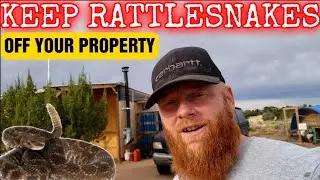 How to Keep Rattlesnakes Away From Your Property (What Actually Works)