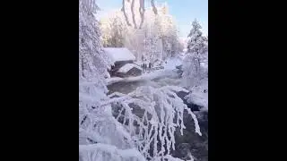 kısa videolar