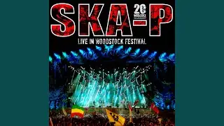 Romero el Madero (Live In Woodstock Festival)