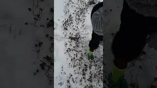Энергетика для Души. Продолжение. Создание красоты без потери времени и сил