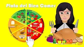El plato del bien comer (3° Año de Primaria)