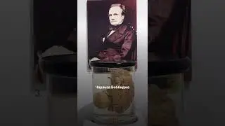 Как вам перформансы Тильды Суинтон? 