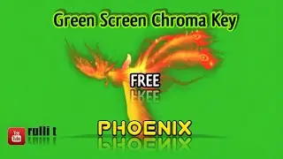 Green Screen - PHOENIX animation 🔊 Chroma key