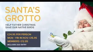 Banham Zoo: Christmas Grotto 2022