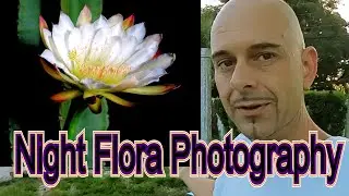 Night Flora Photography & Timelapse - San Padre Cactus / Queen of the Night Cactus - #squidshot