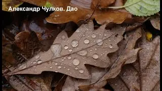 Дао. Медитативный стих об осени, любви, гармонии.