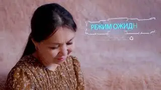 Ролик для Kelechek MIT