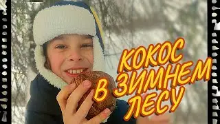 Я выживаю в суровых зимних условиях. Только я и кокос!