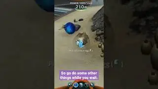 The Secret Cuddlefish in Subnautica... 