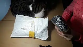 #СЮРПРИЗ С Aliexpress#смотреть до конца